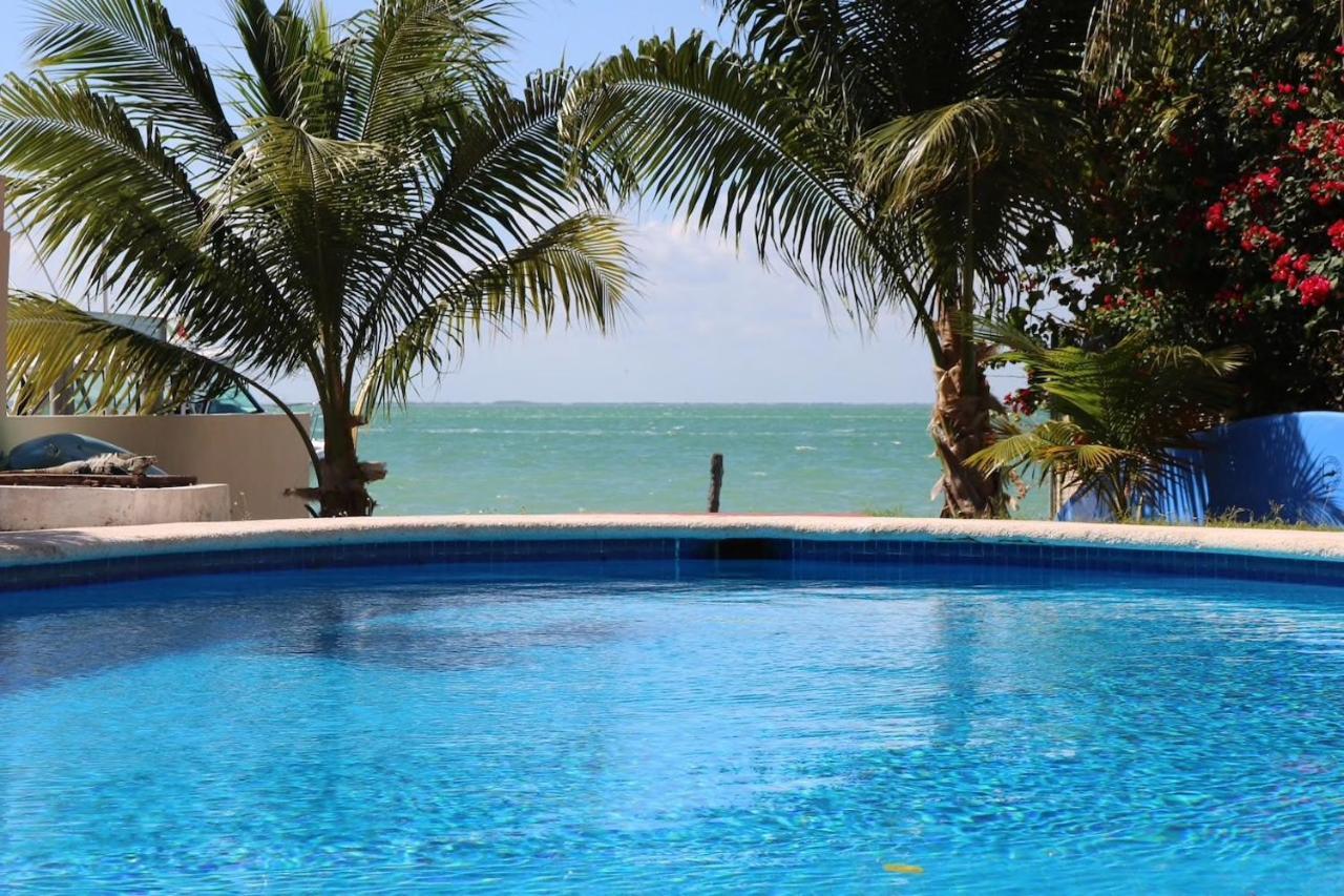 Seaak Cancun Rentals Dış mekan fotoğraf