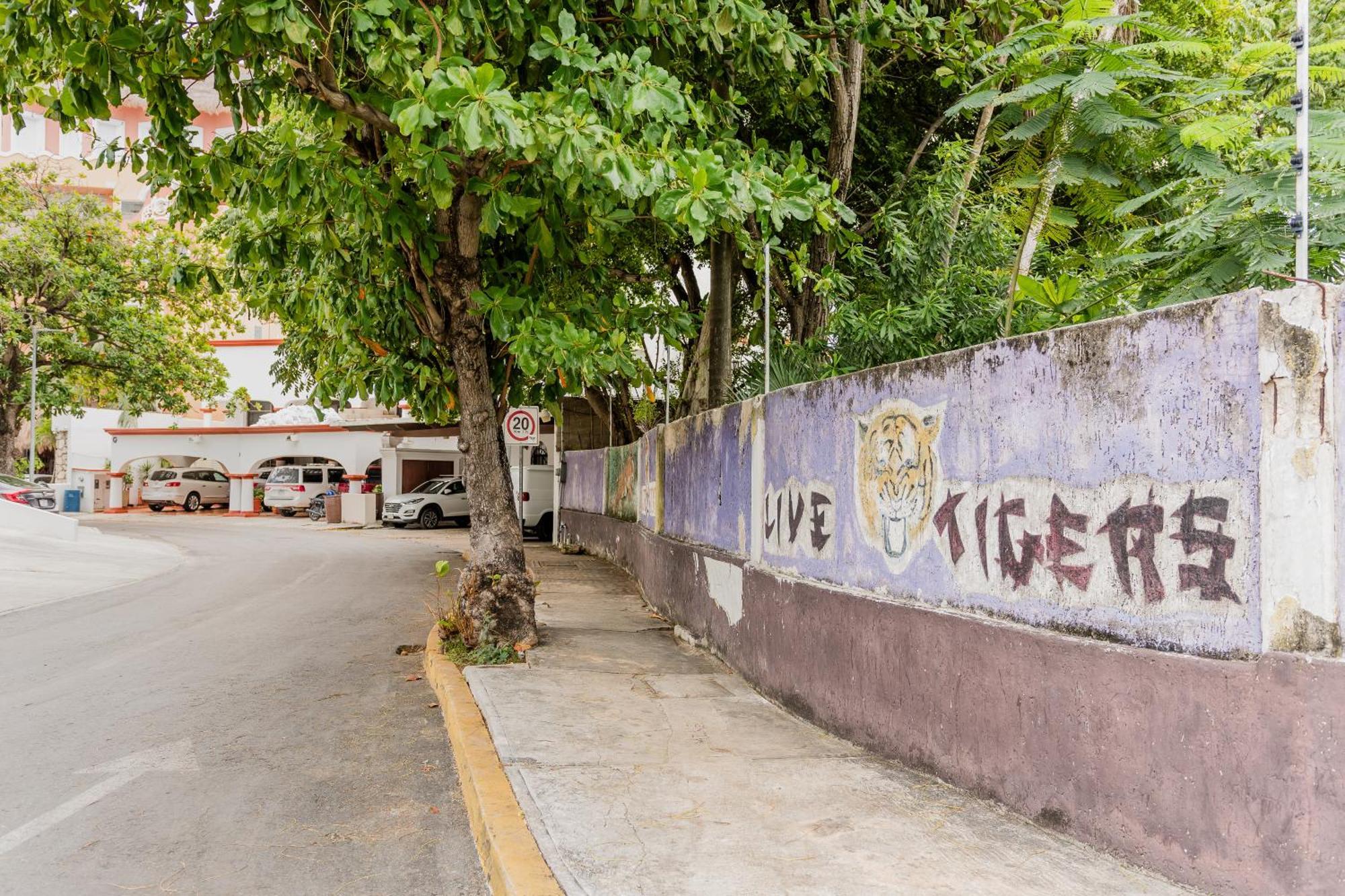 Seaak Cancun Rentals Dış mekan fotoğraf